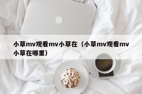 小草mv观看mv小草在（小草mv观看mv小草在哪里）